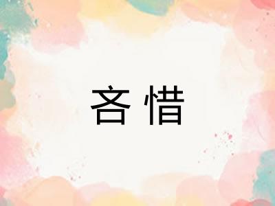 吝惜