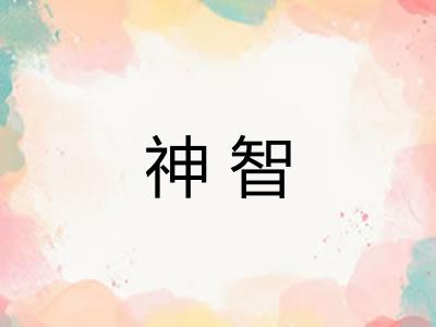 神智