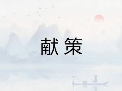 献策