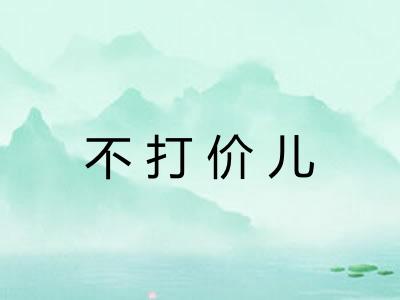 不打价儿