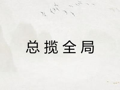 总揽全局