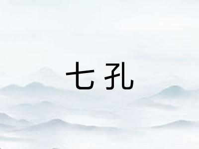 七孔