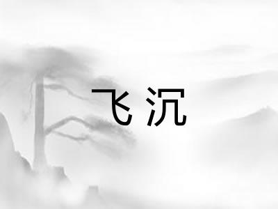 飞沉