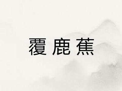 覆鹿蕉