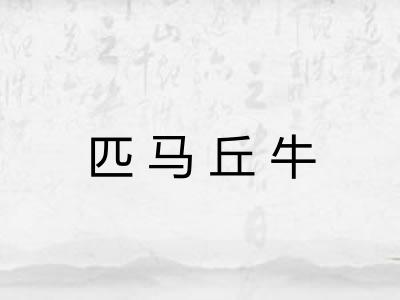 匹马丘牛