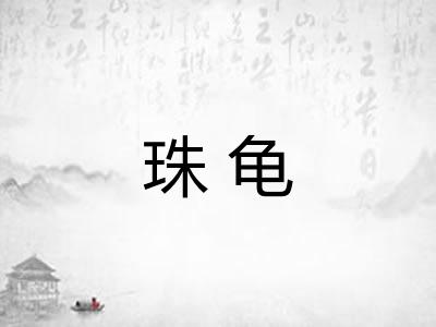 珠龟