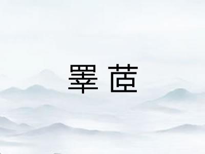 睪茝