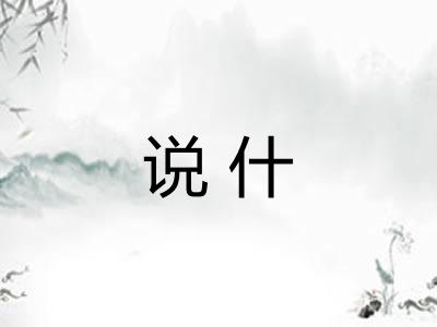 说什