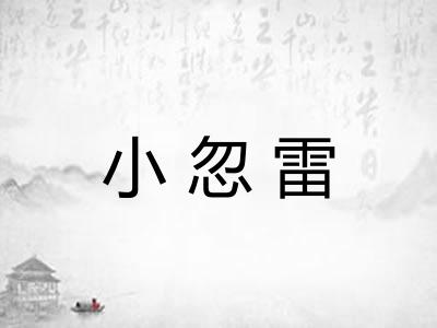 小忽雷