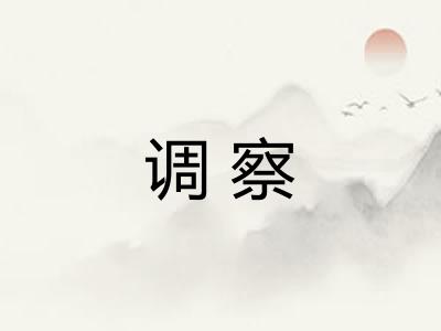 调察