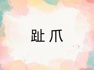 趾爪