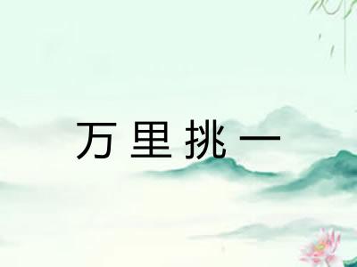 万里挑一