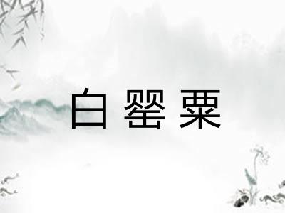 白罂粟