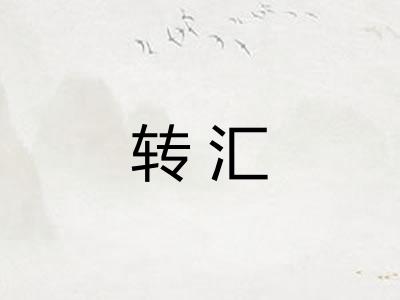 转汇