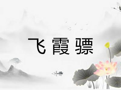 飞霞骠