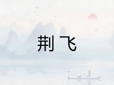 荆飞