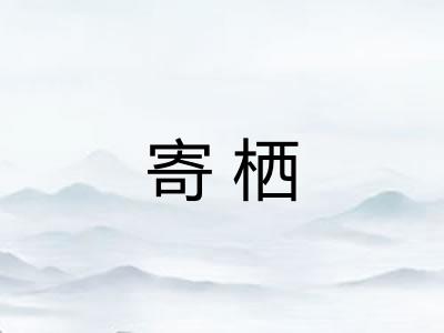 寄栖