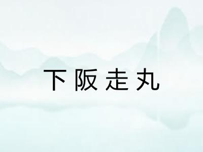 下阪走丸