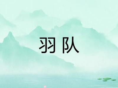 羽队