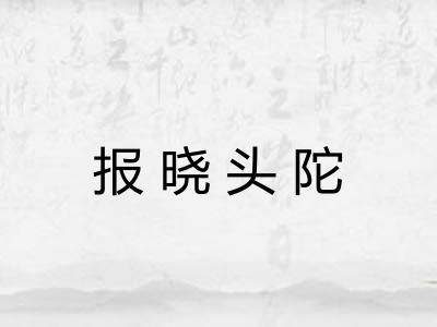 报晓头陀