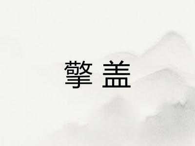 擎盖