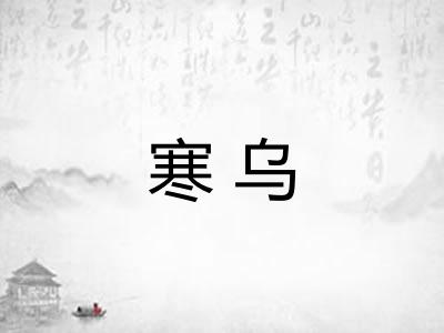寒乌