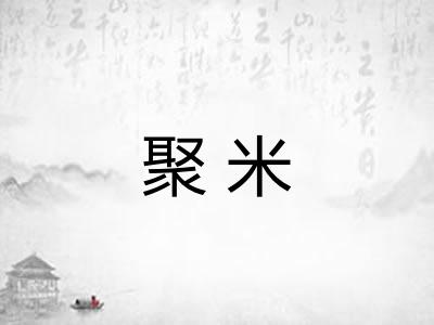 聚米
