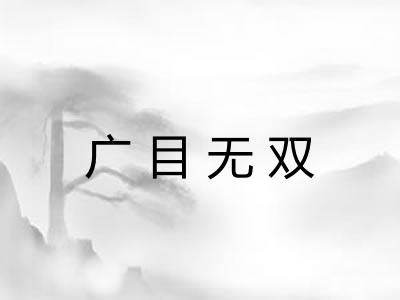 广目无双