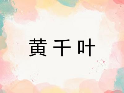 黄千叶