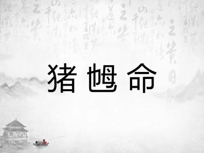 猪乸命