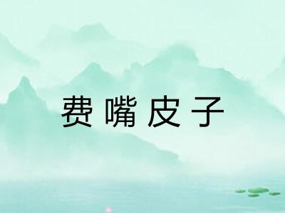 费嘴皮子