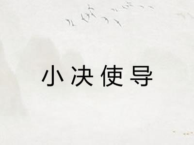 小决使导