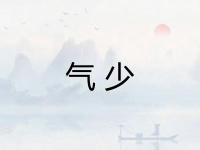 气少