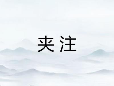 夹注