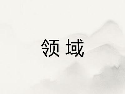 领域