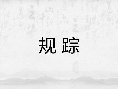 规踪