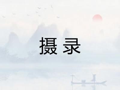 摄录