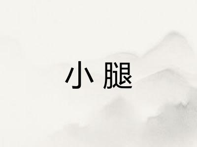 小腿