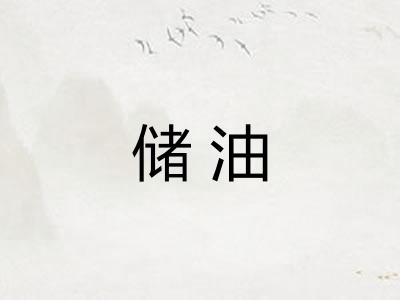 储油