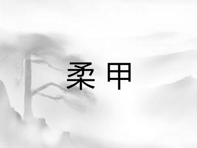 柔甲