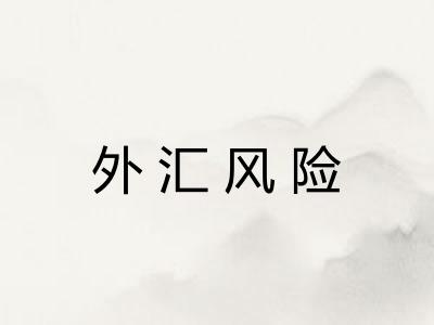 外汇风险