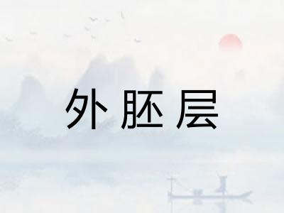 外胚层