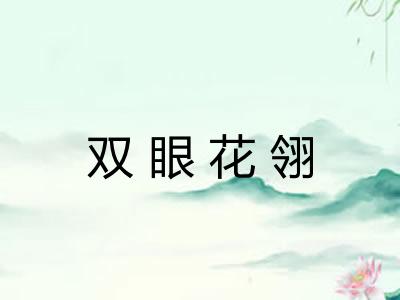 双眼花翎