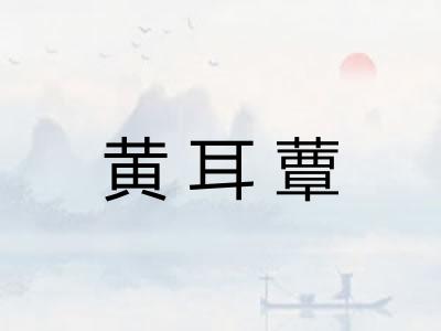 黄耳蕈