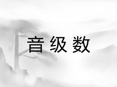 音级数