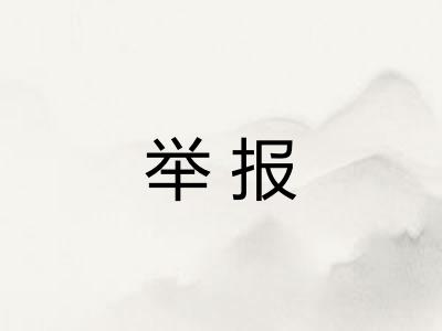 举报