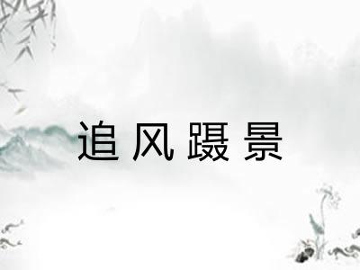 追风蹑景