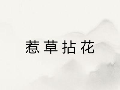 惹草拈花