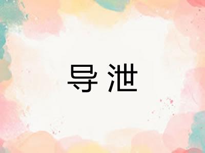 导泄