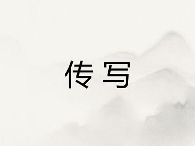 传写